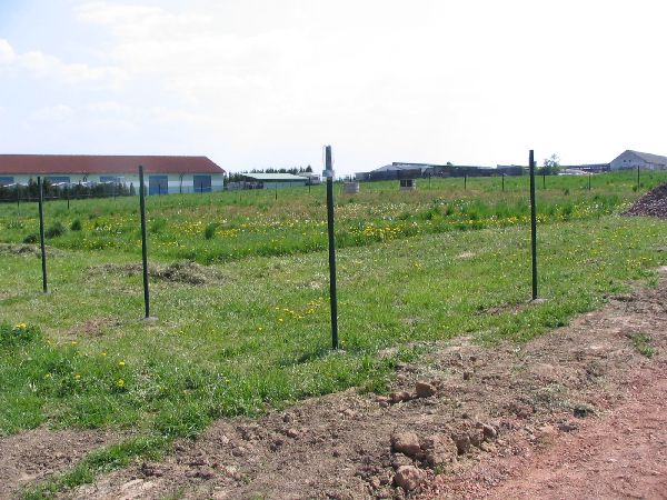 betonování sloupků 2.jpg