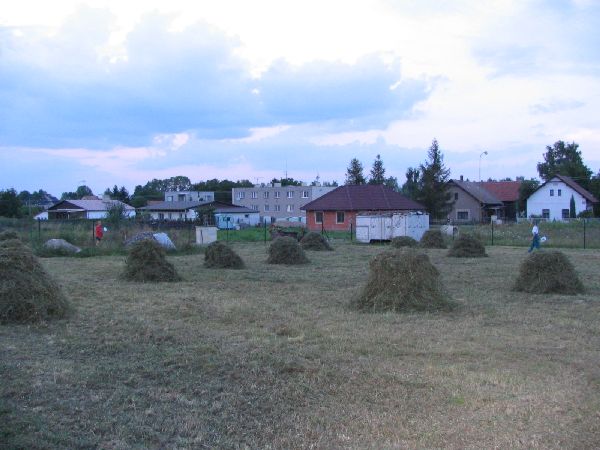 poslední sušení sena na parcele.jpg